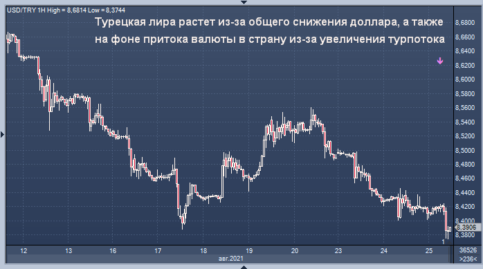 Курс доллара на 19.08 24